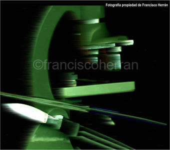 Análisis Forense